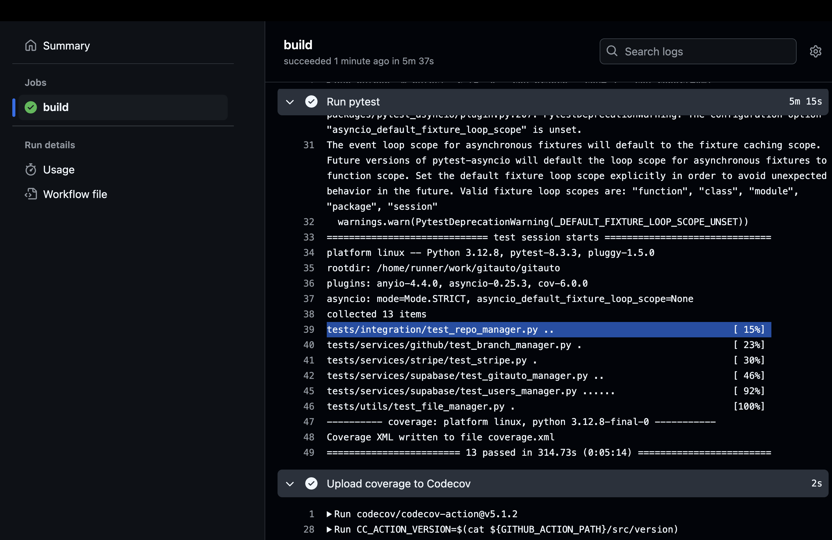 CI Pipeline Success Screenshot